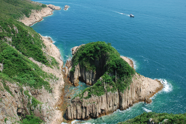 吊鐘洲金魚擺尾