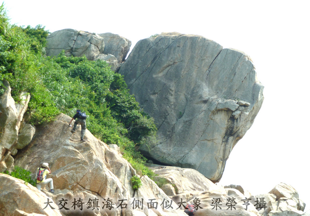 大交椅鎮海石側面似大象 梁榮亨攝